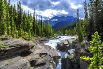 Mistaya river water flows through mistaya canyon in banff national park, surrounded by lush