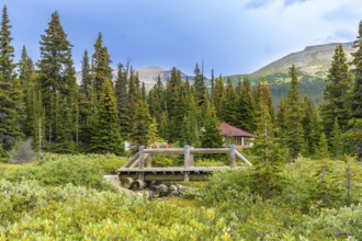 Scenic wooden bridge crossing a small stream in banff national park, surrounded by lush vegetation