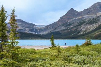 Lush green vegetation surrounds bow lake's turquoise waters with a hiker enjoying the breathtaking