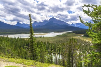 Coniferous forests and river wetlands stretching across the landscape in banff national park,