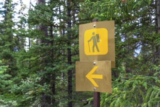Golden hiking signs are indicating direction for hikers exploring the scenic mistaya canyon trail