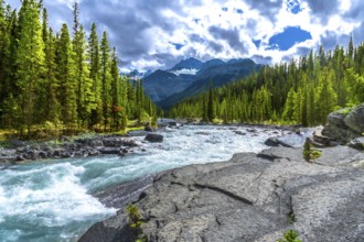 Turquoise water flows rapidly through mistaya canyon in banff national park, surrounded by lush