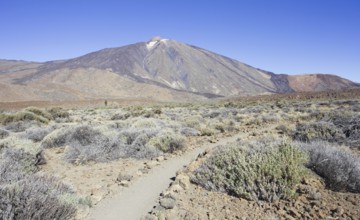 Hiking trail through a barren area with views of south Pico del Teide, La Orotava Tenerife