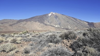 Impressive Teide volcano in a dry landscape under clear skies, La Orotava, Tenerife