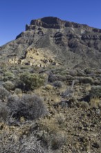 Mountain scenery in a rocky desert landscape under clear sky, Pico del Teide National Park, La