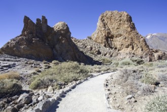 Hiking trail leads through impressive rocky landscape, Pico del Teide National Park, La Orotava