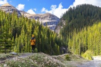 Hiker enjoying breathtaking view of mountains and pine forest while walking along ci fuentes path