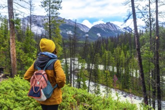Female hiker with backpack enjoying the breathtaking view of sunwapta falls and the majestic