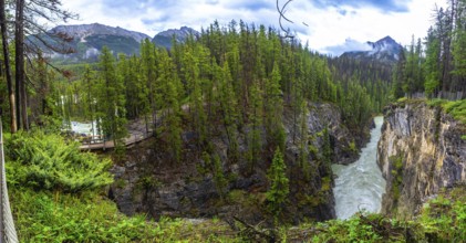 Sunwapta falls cascading through a rugged canyon, surrounded by lush forests and majestic canadian