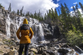 Hiker contemplating the majestic tangle creek falls cascading down rocky cliffs, surrounded by lush