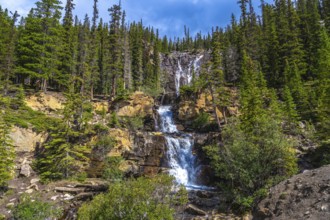 Water cascading over tangle creek falls, framed by lush pine forests and rocky cliffs in jasper