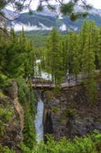 Tourists walking on a bridge over sunwapta falls in jasper national park, alberta, canada, enjoy