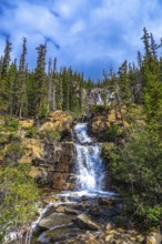 Cascading white water flows over rocks and cliffs at tangle creek falls, surrounded by lush