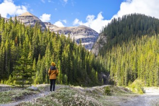 Female hiker admiring the canadian rockies and pine forest along the ci fuentes path waterfall