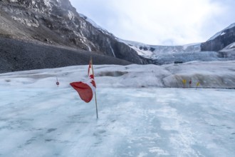 Canadian flag waving on the athabasca glacier, with traffic signs guiding a safe path through the