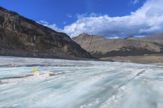 Yellow warning signs and red flags marking crevasses on the athabasca glacier illustrate the impact