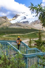 Tourist standing on a wooden stairway, admiring the stunning view of athabasca glacier in jasper