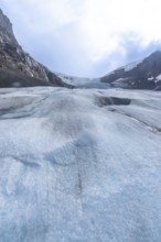 Athabasca glacier is showing signs of melting and receding, revealing the underlying terrain and