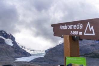 Wooden sign indicating andromeda mountain with athabasca glacier in the background, a popular