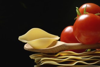 Lasagna leaves and conchiglione noodle with tomatoes, pasta