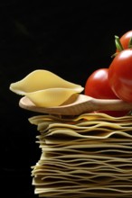 Lasagna leaves and conchiglione noodle with tomatoes, pasta