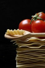 Lasagna, lasagna leaves and cooking spoon with fusilli noodle, noodle nest pasta type