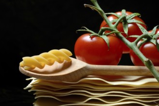 Lasagna, lasagna leaves and cooking spoon with fusilli noodle, noodle nest pasta type