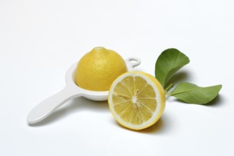 Lemon with leaf, cut in half, Citrus x limon