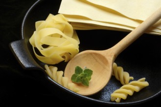 Lasagna leaves, fettuccine and fusilli in pot, cooking spoon with oregano leaf