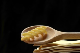 Lasagna, lasagna sheets and cooking spoon with fusilli noodle, spiral noodle, type of pasta