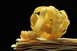 Uncooked lasagna sheets, fettuccine and fusilli