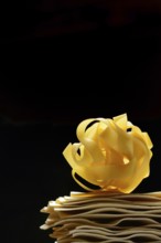 Uncooked lasagna leaves and fettuccine, noodle nest