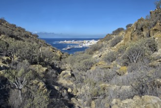 Harbour view through a rocky and bushy landscape under clear skies, Los Cristianos Tenerife