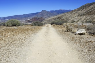 A dry, rocky path stretches through a barren, mountainous volcanic landscape, Los Cristianos