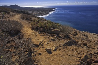 A rocky path leads along the coast, the sea shines in the distance under a clear sky, Los