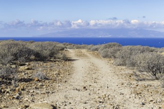 A hiking trail leads through the barren landscape with views of the distant sea, Los Cristianos