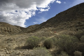 Barren mountain landscape with hikers in the distance and cloudy sky, Los Cristianos Tenerife