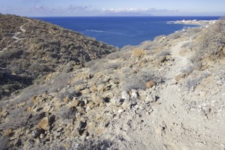 A dry trail snakes through a rocky coastal landscape with views of the sea, Los Cristianos Tenerife