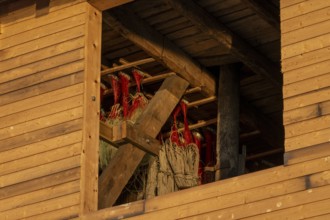 A wooden building with drying fishing nets illuminated by sunlight, Vardø, Finnmark, Norway