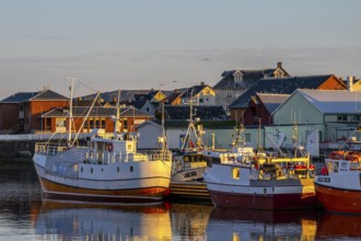 A quiet harbor in the evening light with adjacent boats and houses in warm colors behind them,