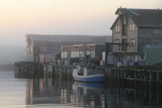 A quiet harbor in morning fog with boats and wooden houses reflecting in the water, Vardø,