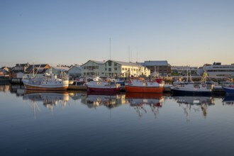 Harbour with several fishing boats in calm water, surrounded by buildings in the evening light,