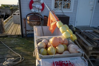 Buoys and lifebuoy on a wooden pier at sunset, next to a small fishing hut, Vardø, Finnmark, Norway