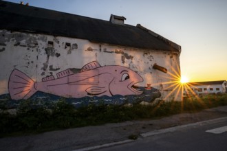 A large fish graffiti on an old wall shines in the light of sunset, Vardö street art phenomenon