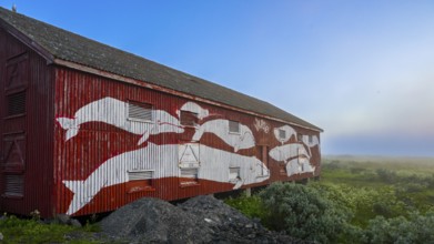 Wall painting with different types of whales on a red fisherman's house Rorbur against a blue sky