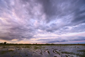 Dramatic cloud atmosphere over flooded wetlands with wind turbines in the background and bright