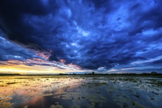 Dramatic sunset over flooded wetlands with wind turbines in the background and bright shades of