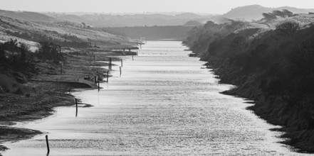 A calm branch of water in a foggy monochrome dune landscape at dusk, Amsterdamse
