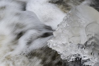 Natural ice sculptures on a stream, Emsland, Lower Saxony, Germany