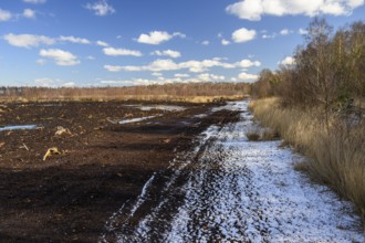 Mariendrebber, Drebber, NiedersacabgePeaty Hoochmoor Schwarztorf in cloudy skies with earthy colors
